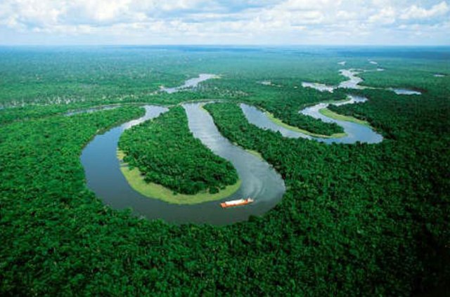 The Amazon