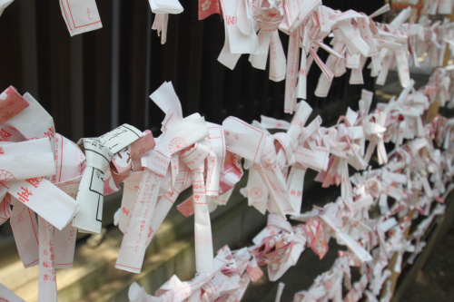Fortunes at Yasukuni Shrine